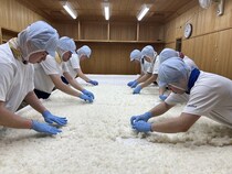 【新潟県新発田市】菊水酒造「蔵人体験プログラム」募集開始！酒造りを通して蔵人の技と心に触れる2日間