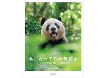 【東京都新宿区】シャンシャンの毎日を撮った写真集が発売！出版記念イベント「大パンダ展」も開催