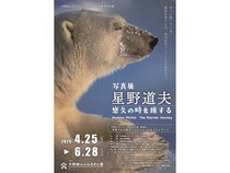 【福岡県大野城市】大野城心のふるさと館で「写真展 星野道夫 悠久の時を旅する」開催。関連イベントも