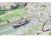 【愛知県岡崎市】岡崎城公園周辺の桜を川から楽しむ「岡崎城下舟あそび」開催！桜のライトアップも