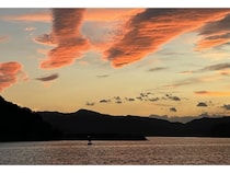 環境価値NFTプロジェクト「SINRA」に、南伊勢町のブルーカーボン・クレジットが登場