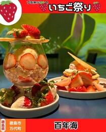 【徳島県徳島市】春のいちご祭り🍓　百年海