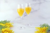 【岐阜県岐阜市】都ホテル岐阜長良川で、「国際女性デー | HAPPY WOMAN FESTA 2026」が開催中！