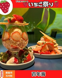 【徳島県徳島市】春のいちご祭り🍓　百年海