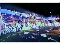 【大阪府大阪市】浮世絵が躍動する没入型展覧会「動き出す浮世絵展 OSAKA」、来場者数5万人突破！
