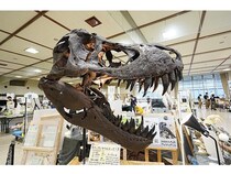 【愛知県名古屋市】自然科学に親子で触れるイベント「博物マニア2026」開催。ヘルドクターくられ氏登壇！