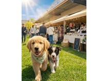 【大阪府岸和田市】愛犬と楽しむ「わたしのワンコマルシェ」開催！犬種別オフ会やファッションショーも