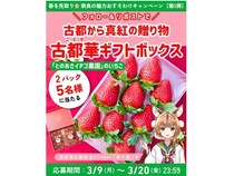 奈良県広報担当VTuber「奈々鹿」のXでキャンペーン開催！いちご「古都華」が当たる