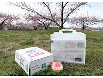 桃やぶどうなどの贈答箱を安全に持ち運びできる「EBISTトート | FRUIT BOX」発売！