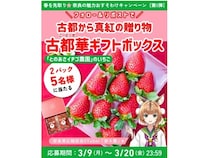 奈良県広報担当VTuber「奈々鹿」のXでキャンペーン開催！いちご「古都華」が当たる