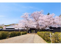 【千葉県柏市】「旧吉田家住宅歴史公園 SakuraWeek」開催！ライトアップなどイベント盛りだくさん