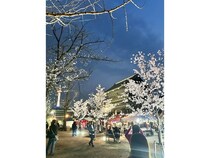 【京都府京都市】京都最大級のナイトマーケット「第12回京都夜市」開催！今回のテーマは“夜桜で乾杯”