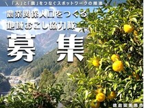 徳島県美馬市で、ゆずの産地化に向けた人材確保支援を行う地域おこし協力隊を募集！
