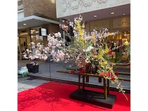 【神奈川県横浜市】横浜元町の春を花で彩る「フラワー＆グリーンMOTOMACHI」開催！いけばな神輿も練り歩く