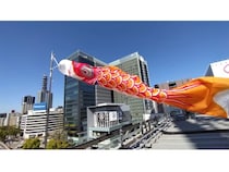 【愛知県名古屋市】「中部電力 MIRAI TOWER」4階屋根上に「鯉のぼり」を掲出！22年振りの復活