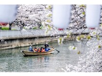 【東京都江東区】江戸情緒を満喫できる水上花見や夜桜が楽しめる「お江戸深川さくらまつり」開催！