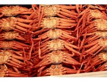【富山県富山市】紅ズワイガニ食べ放題＆能登牡蠣のガンガン焼きを楽しめる直売所が期間限定オープン！