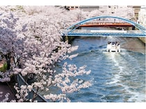 【東京都】「目黒川お花見クルーズ」の運航便を増便！「BARスタイルプラン」にも注目