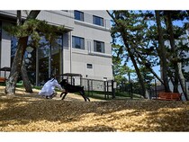 【茨城県大洗町】『Doggy's Coast Oarai』にて愛犬と宿泊・参加できる特別イベントを開催
