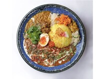 【愛知県名古屋市】30店舗超が出店する中部地区最大級のカレーの祭典「TOKAIカレーなるフェス」GWに開催