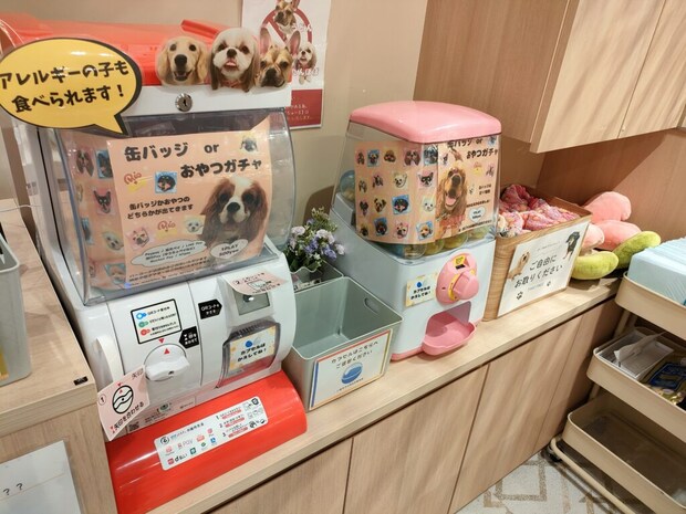 いぬカフェRio