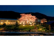 【福井県美浜町】三方五湖の夜を彩るアートイベント開催！桜ライトアップを楽しむナイトクルーズも