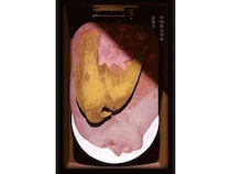 【東京都中央区】ナカジマアート開廊30周年！日本画家・村岡貴美男氏の新作個展「記憶音」が開催