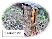 【岡山県倉敷市】里山の生物多様性についても学べる、ニホンミツバチの巣箱づくりワークショップ開催！