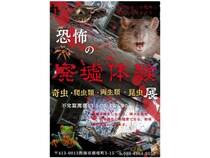 【静岡県熱海市】古民家で懐中電灯片手に夜行性生物の生態に迫る「廃墟動物園」開催！ふれあい動物園も
