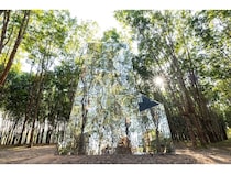 【香川県直島町】直島新美術館が展示替えへ。「循環・回帰・再生」テーマにパブリックプログラムも開催