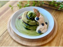 【広島県三原市】GW期間も楽しめる！「八天堂ビレッジ」で抹茶フェア開催、ピザ作りやこいのぼりつりも