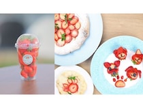 千葉県八街市で旬のいちご収穫とデザート作りを楽しむ特別プランが登場。1日5組限定！