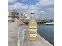 【静岡県熱海市・伊東市】未活用の加工用甘夏を活かした伊豆の新たなご当地ドリンク「甘夏ジンジャエール」発売