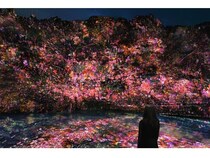 【千葉県大多喜町】豊かな自然を自然のまま、アート空間に変える「チームラボ 養老渓谷」開催！