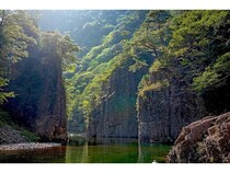 【広島県安芸太田町】駐車場事業を展開するパラカが森林保全活動の一環として「三段峡」の一部山林を取得