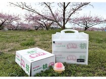 桃やぶどうなどの贈答箱を安全に持ち運びできる「EBISTトート | FRUIT BOX」発売！