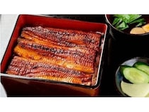 【三重県四日市市】「鰻の森田」が四日市駅近く・市役所横に開店！高級なうなぎ料理を手頃な価格で提供