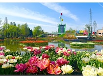 【富山県砺波市】350万本が咲き誇る、となみチューリップフェア開催！大花壇の地上絵など圧巻の景観