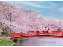 【長野県須坂市】約600本の桜に街歩きも楽しめる、日本さくら名所100選「臥竜公園さくらまつり」開催