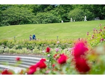 【群馬県前橋市】「Gunma Flower Park＋」で、バラやアジサイの見頃に合わせた無料直行バスを運行！