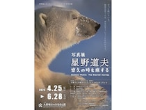 【福岡県大野城市】大野城心のふるさと館で「写真展 星野道夫 悠久の時を旅する」開催。関連イベントも