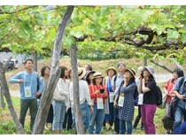 【山形県上山市】生産者と交流しワインを味わう滞在型ツーリズム「かみのやまワイナリーツアー」開催！