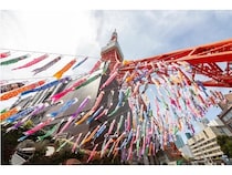 【東京都港区】東京タワーで、333匹の鯉のぼりが泳ぐ景色と夜桜のプロジェクションマッピングを堪能