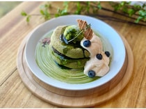 【広島県三原市】GW期間も楽しめる！「八天堂ビレッジ」で抹茶フェア開催、ピザ作りやこいのぼりつりも
