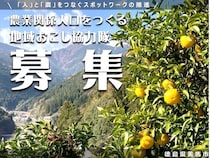 徳島県美馬市で、ゆずの産地化に向けた人材確保支援を行う地域おこし協力隊を募集！