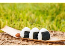 石川県小松市のふるさと納税に令和7年産「小松のお米」が数量限定“応援価格”で登場