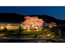 【福井県美浜町】三方五湖の夜を彩るアートイベント開催！桜ライトアップを楽しむナイトクルーズも