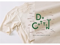 【高知県黒潮町】アバンティの国産綿プロジェクト『DoCoTToN』が砂浜美術館「Tシャツアート展」に登場