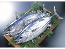 高知県の土佐久礼が全国調査で“かつお愛”日本一の町であることが判明！