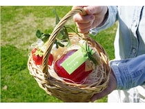 【長野県飯綱町・長野市】長野県産いちご「紅ほっぺ」のジャムがサンクゼール本店・門前店で数量限定発売！